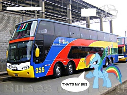 Size: 800x600 | Tagged: safe, rainbow dash, g4, bus, double decker bus, that's my x