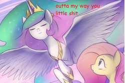 Size: 433x290 | Tagged: safe, artist:keterok, edit, fluttershy, princess celestia, g4, comic sans