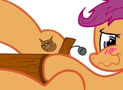 Size: 739x540 | Tagged: safe, artist:catfood-mcfly, scootaloo, pony, g4, alternative cutie mark placement, blushing, inner thigh cutie mark, solo, virginity cutie mark