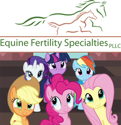 Size: 395x406 | Tagged: safe, applejack, fluttershy, pinkie pie, rainbow dash, rarity, twilight sparkle, g4