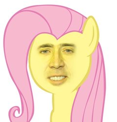 Size: 680x709 | Tagged: safe, fluttershy, g4, bust, looking at you, nicolas cage, simple background, solo, wat, white background