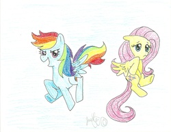 Size: 2203x1700 | Tagged: dead source, safe, artist:hahasauce, fluttershy, rainbow dash, pegasus, pony, g4, duo, traditional art