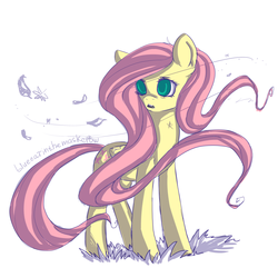 Size: 3000x3000 | Tagged: safe, artist:yukomaussi, fluttershy, g4, feather, female, high res, solo