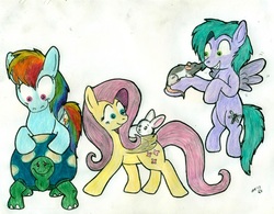 Size: 1200x935 | Tagged: safe, artist:wahyawolf, angel bunny, fluttershy, rainbow dash, tank, oc, oc:dragonfly, pegasus, pony, rabbit, rat, tortoise, g4, animal, colored pencil drawing, female, looking at each other, looking at someone, mare, pets, simple background, smiling, traditional art, white background