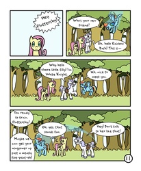 Size: 800x971 | Tagged: safe, artist:doodlesnap, fluttershy, rainbow dash, oc, comic:chivalry, g4, comic