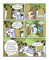 Size: 800x971 | Tagged: safe, artist:doodlesnap, fluttershy, rainbow dash, oc, comic:chivalry, g4, comic