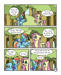 Size: 800x971 | Tagged: safe, artist:doodlesnap, fluttershy, rainbow dash, comic:chivalry, g4, comic
