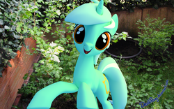 Size: 1920x1200 | Tagged: safe, artist:deathpwny, lyra heartstrings, g4, 3d, blender, cute, irl, photo, ponies in real life