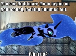 Size: 500x363 | Tagged: safe, nightmare moon, g4, bronybait, couch, ponies in real life, question