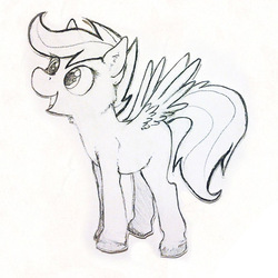Size: 463x463 | Tagged: safe, artist:thepingaslord, scootaloo, g4, female, hooves, monochrome, solo, traditional art, unshorn fetlocks
