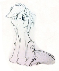 Size: 448x544 | Tagged: safe, artist:thepingaslord, rainbow dash, g4, female, monochrome, solo, traditional art
