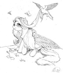 Size: 600x697 | Tagged: safe, artist:derp-my-life, fluttershy, bird, butterfly, g4, flower, sketch, traditional art