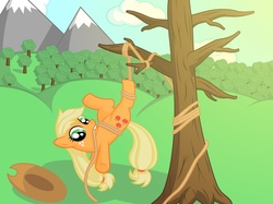 Size: 1275x955 | Tagged: safe, artist:ohemo, applejack, earth pony, pony, g4, female, mouth hold, rope, silly, silly pony, solo, tied up, tree, upside down, who's a silly pony