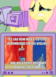 Size: 563x771 | Tagged: safe, fluttershy, g4, exploitable meme, fluttercry, image macro, looney tunes, tv meme, wile e coyote