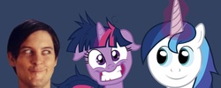 Size: 750x300 | Tagged: safe, shining armor, twilight sparkle, g4, insanity, meme, peter parker, twilight snapple, twily face