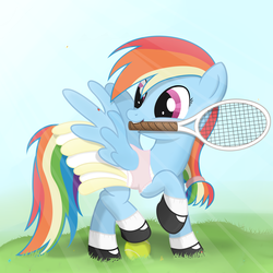 Size: 6000x6000 | Tagged: safe, artist:regolithx, rainbow dash, ladybug, g4, absurd resolution, alternate hairstyle, clothes, female, mary janes, skirt, socks, solo, tennis, tennis racket