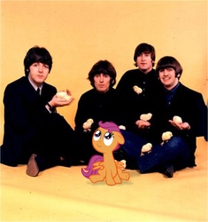 Size: 866x922 | Tagged: safe, scootaloo, human, g4, crossover, george harrison, irl, irl human, john lennon, paul mccartney, photo, ponies in real life, ringo starr, scootachicken, the beatles