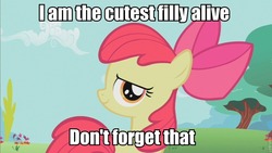 Size: 853x480 | Tagged: safe, apple bloom, g4, cute, cutest pony alive, female, image macro, solo