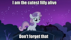 Size: 960x540 | Tagged: safe, sweetie belle, g4, my little pony: friendship is magic, sleepless in ponyville, cute, cutest pony alive, female, image macro, solo