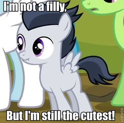 Size: 418x415 | Tagged: safe, edit, edited screencap, screencap, lightning bolt, merry may, rumble, white lightning, pegasus, pony, g4, hurricane fluttershy, caption, colt, cropped, cute, cutest pony alive, female, image macro, mare, scrunchy face, solo focus