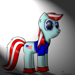 Size: 2000x2000 | Tagged: safe, artist:shiningarmor22, faic, nation ponies, solo, united states