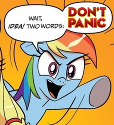 Size: 334x366 | Tagged: safe, idw, applejack, rainbow dash, g4, comic, don't panic, exploitable meme, hitchhiker's guide to the galaxy, meme, two words meme