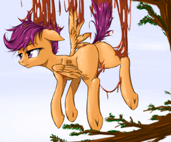 Size: 960x800 | Tagged: safe, artist:madhotaru, scootaloo, pegasus, pony, g4, butt, female, hanging, plot, sap, scootabutt, solo, stuck, suspended