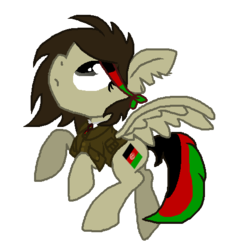 Size: 494x506 | Tagged: safe, artist:pinkielord, pegasus, pony, afghanistan, country, flag, nation ponies, ponified, simple background, solo, transparent background