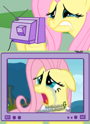 Size: 562x770 | Tagged: safe, fluttershy, g4, exploitable meme, fluttercry, meme, tv meme