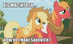 Size: 960x578 | Tagged: safe, edit, edited screencap, screencap, applejack, big macintosh, earth pony, pony, applebuck season, g4, image macro, male, stallion, team fortress 2