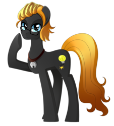 Size: 849x941 | Tagged: safe, artist:haydee, oc, oc only, oc:epiphany bomb, earth pony, pony, male, necklace, simple background, solo, stallion, transparent background
