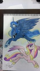 Size: 1024x1816 | Tagged: safe, artist:andypriceart, princess cadance, princess luna, g4, concave belly, crown, duo, female, hoof shoes, jewelry, mare, peytral, princess shoes, regalia, side view, sketchbook, slender, spread wings, tail, thin, traditional art, windswept tail, wings