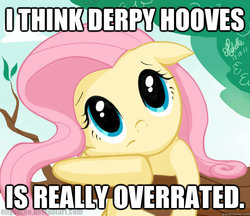 Size: 625x541 | Tagged: safe, artist:ellybethe, fluttershy, g4, female, image macro, pony confession, solo