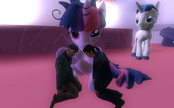Size: 1680x1050 | Tagged: safe, artist:pinkie diane roosevelt phd, shining armor, twilight sparkle, g4, 3d, citizen, colonel cubbage, description is relevant, gmod, half-life, half-life 2, human fetish, my little human, now kiss, twilight snapple