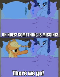 Size: 691x886 | Tagged: safe, edit, edited screencap, screencap, applejack, rarity, earth pony, pony, g4, bed, caption, female, image macro, lesbian, mare, pillow