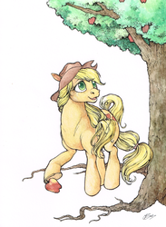 Size: 661x904 | Tagged: safe, artist:fillyphalanx, applejack, earth pony, pony, g4, apple, apple tree, cowboy hat, female, hat, looking up, mare, obligatory apple, simple background, solo, traditional art, tree, watercolor painting, white background