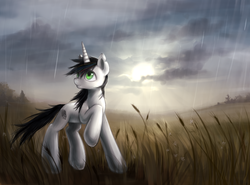 Size: 3405x2520 | Tagged: safe, artist:nyarmarr, oc, oc only, field, rain, solo