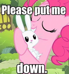 Size: 547x580 | Tagged: safe, edit, edited screencap, screencap, angel bunny, pinkie pie, baby cakes, g4, cropped, duo, eyes closed, image macro