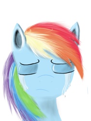 Size: 1500x2000 | Tagged: safe, artist:chimicherries, rainbow dash, fanfic:my little dashie, g4, crying, female, portrait, solo