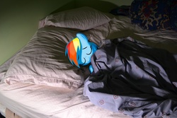 Size: 4608x3072 | Tagged: safe, artist:chineseninja, rainbow dash, fanfic:my little dashie, g4, c:, cute, eyes closed, female, high res, on side, ponies in real life, sleeping, smiling, solo