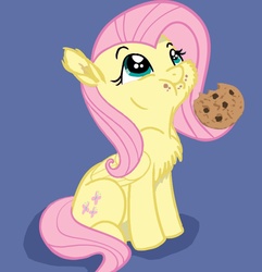 Size: 822x851 | Tagged: safe, artist:bri-sta, artist:glittering-pony, artist:longren, edit, fluttershy, g4, chest fluff, cookie, cute, eating, female, filly, nom, shyabetes, simple background, sitting, solo