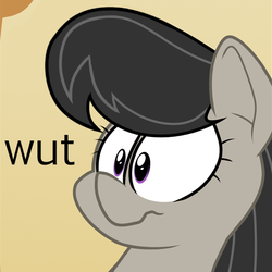 Size: 508x508 | Tagged: safe, octavia melody, g4, female, reaction image, solo, wat