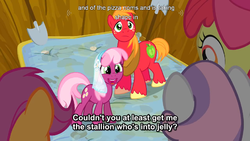 Size: 1536x864 | Tagged: safe, screencap, apple bloom, big macintosh, cheerilee, scootaloo, sweetie belle, earth pony, pony, g4, hearts and hooves day (episode), cutie mark crusaders, hearts and hooves day, male, stallion, youtube caption