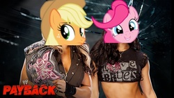 Size: 642x361 | Tagged: safe, applejack, pinkie pie, g4, aj lee, kaitlyn, payback, wwe