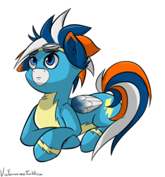 Size: 900x962 | Tagged: safe, artist:vivofortissimo, oc, oc only, commission, male, solo, wonderbolts