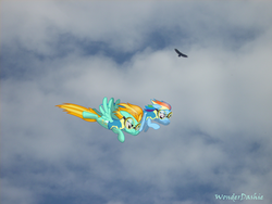 Size: 2560x1920 | Tagged: safe, artist:wonderdashie, lightning dust, rainbow dash, eagle, pegasus, pony, g4, clothes, female, flying, goggles, mare, ponies in real life, sky, uniform, vector, wonderbolt trainee uniform