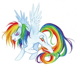 Size: 661x571 | Tagged: safe, artist:savicorn, rainbow dash, g4, female, solo