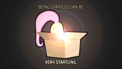 Size: 1920x1080 | Tagged: safe, artist:clockwork65, fluttershy, pony, g4, box, captain obvious, department of redundancy department, female, flutterbox, flutterbutt, hiding, lens flare, pony in a box, quote, solo, vector, wallpaper