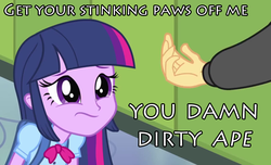Size: 740x450 | Tagged: safe, edit, edited screencap, screencap, flash sentry, twilight sparkle, equestria girls, g4, my little pony equestria girls, are equestrian girls human?, hand, offscreen character, planet of the apes, you damn dirty ape
