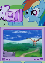 Size: 360x496 | Tagged: safe, rainbow dash, talonflame, g4, exploitable meme, pokémon, pokémon x and y, sky battle, tv meme